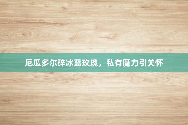 厄瓜多尔碎冰蓝玫瑰，私有魔力引关怀
