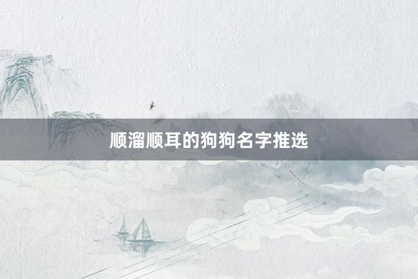顺溜顺耳的狗狗名字推选