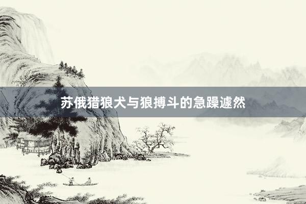 苏俄猎狼犬与狼搏斗的急躁遽然